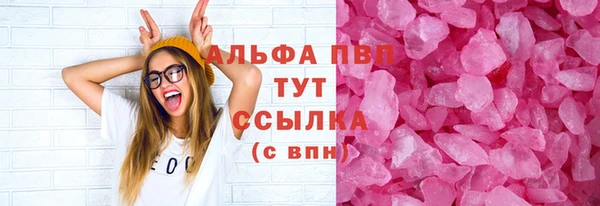 сатива Дмитриев