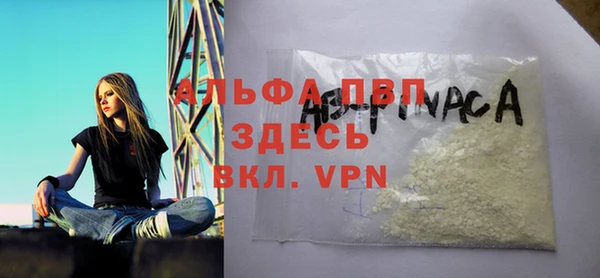 сатива Дмитриев