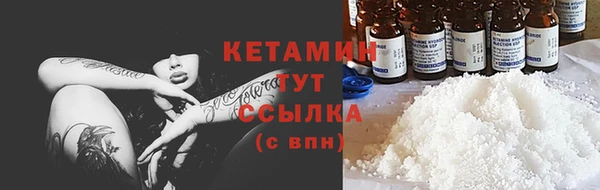 сатива Елизово