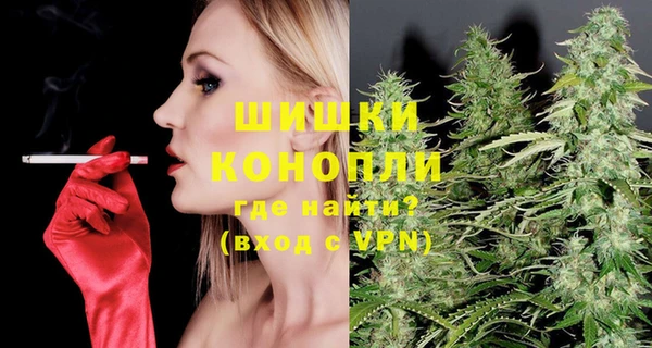 сатива Дмитриев