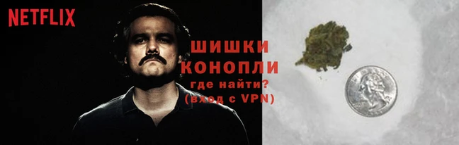 сатива Елизово
