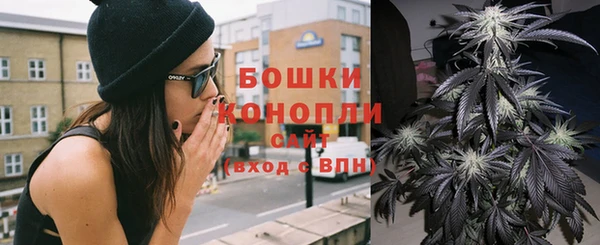 сатива Елизово
