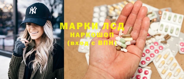 сатива Елизово